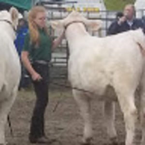 Meet your Posher, Cassie